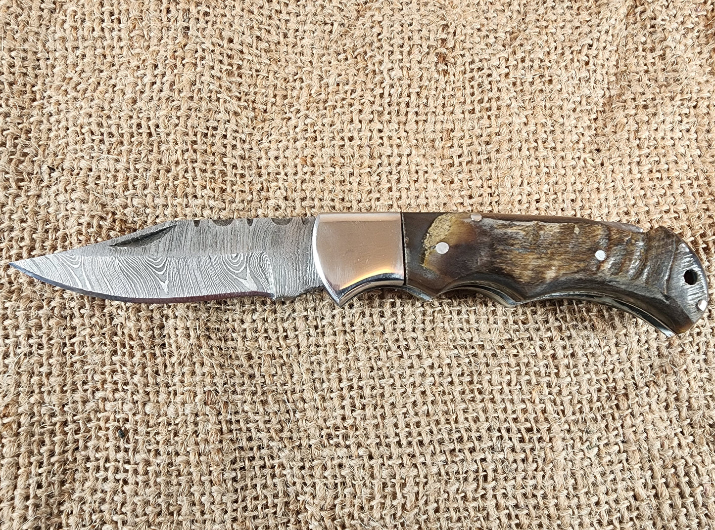 2 7/8" Ram Horn Damascus Folding Knife #80