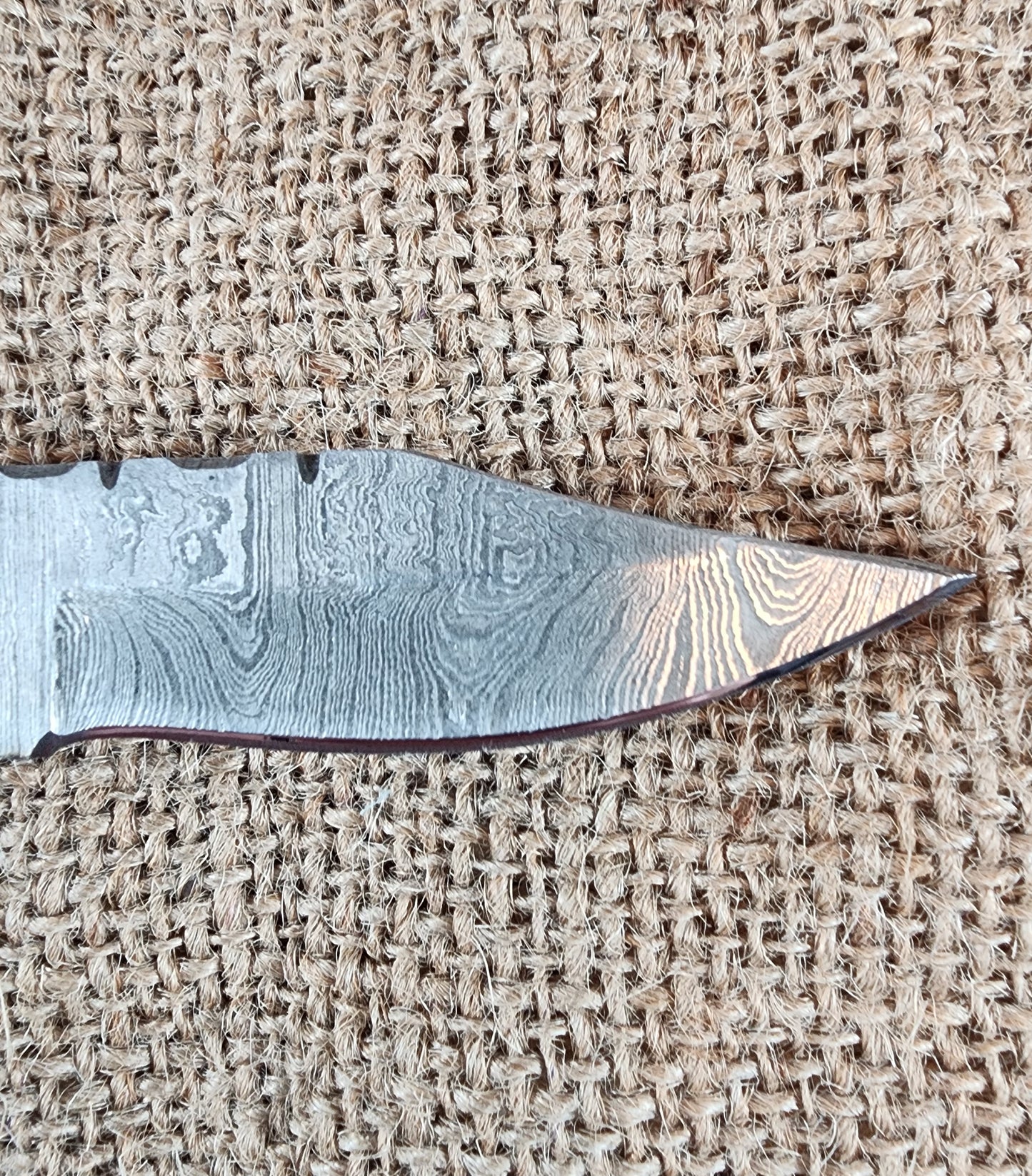 2 7/8" Ram Horn Damascus Folding Knife #68