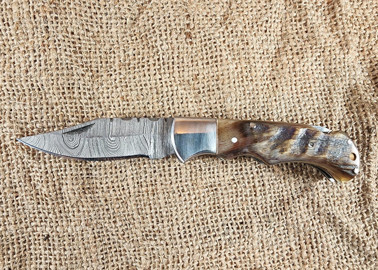 2 7/8" Ram Horn Damascus Folding Knife #74