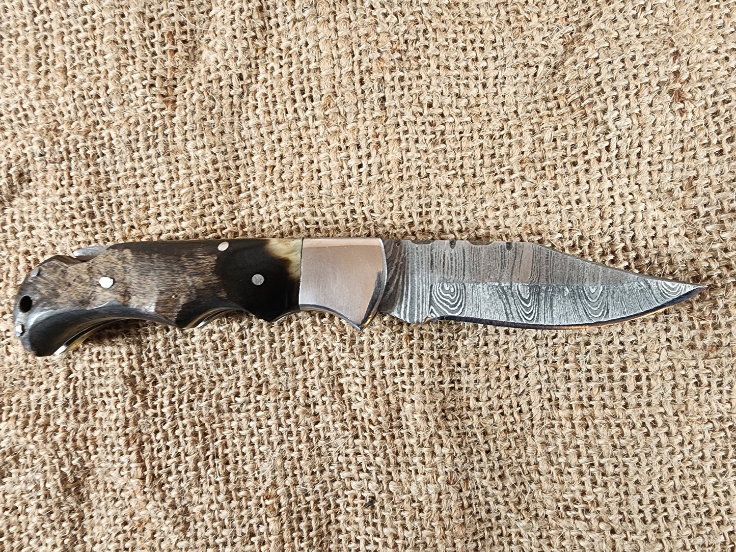 2 7/8" Ram Horn Damascus Folding Knife #71