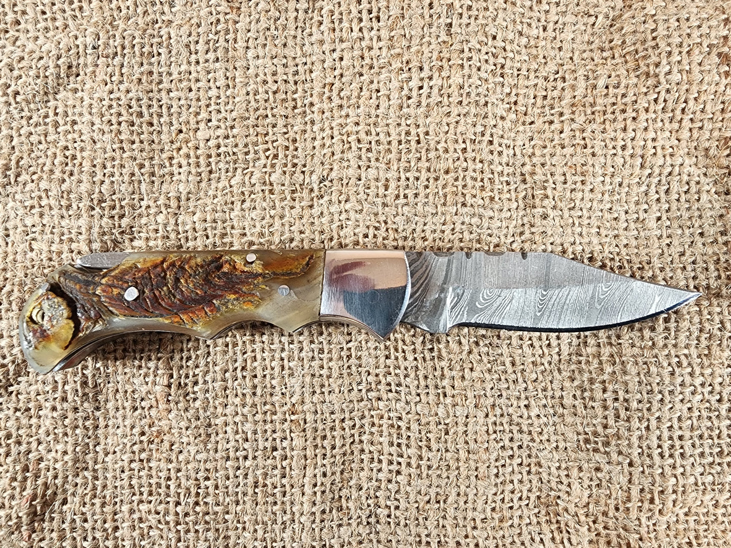 2 7/8" Ram Horn Damascus Folding Knife #65