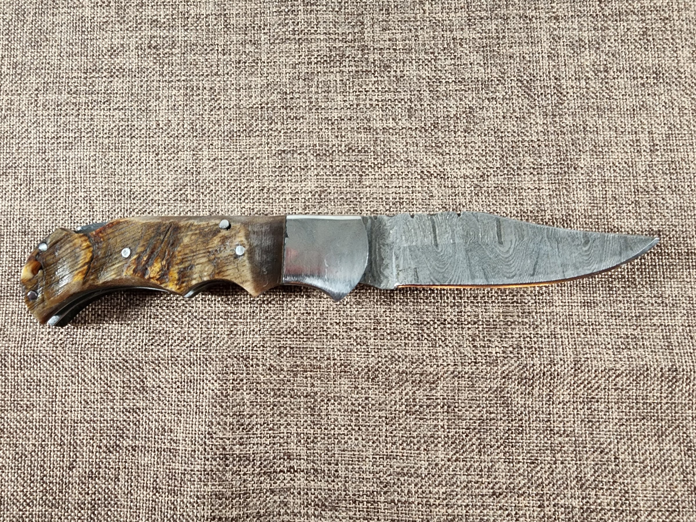 Ram Horn Damascus Folder #147