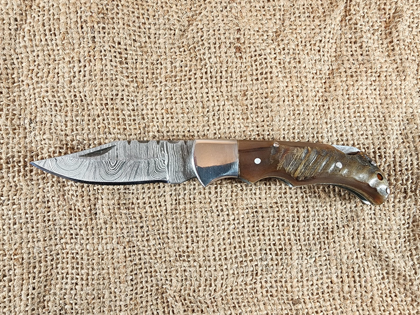 2 7/8" Ram Horn Damascus Folding Knife #60