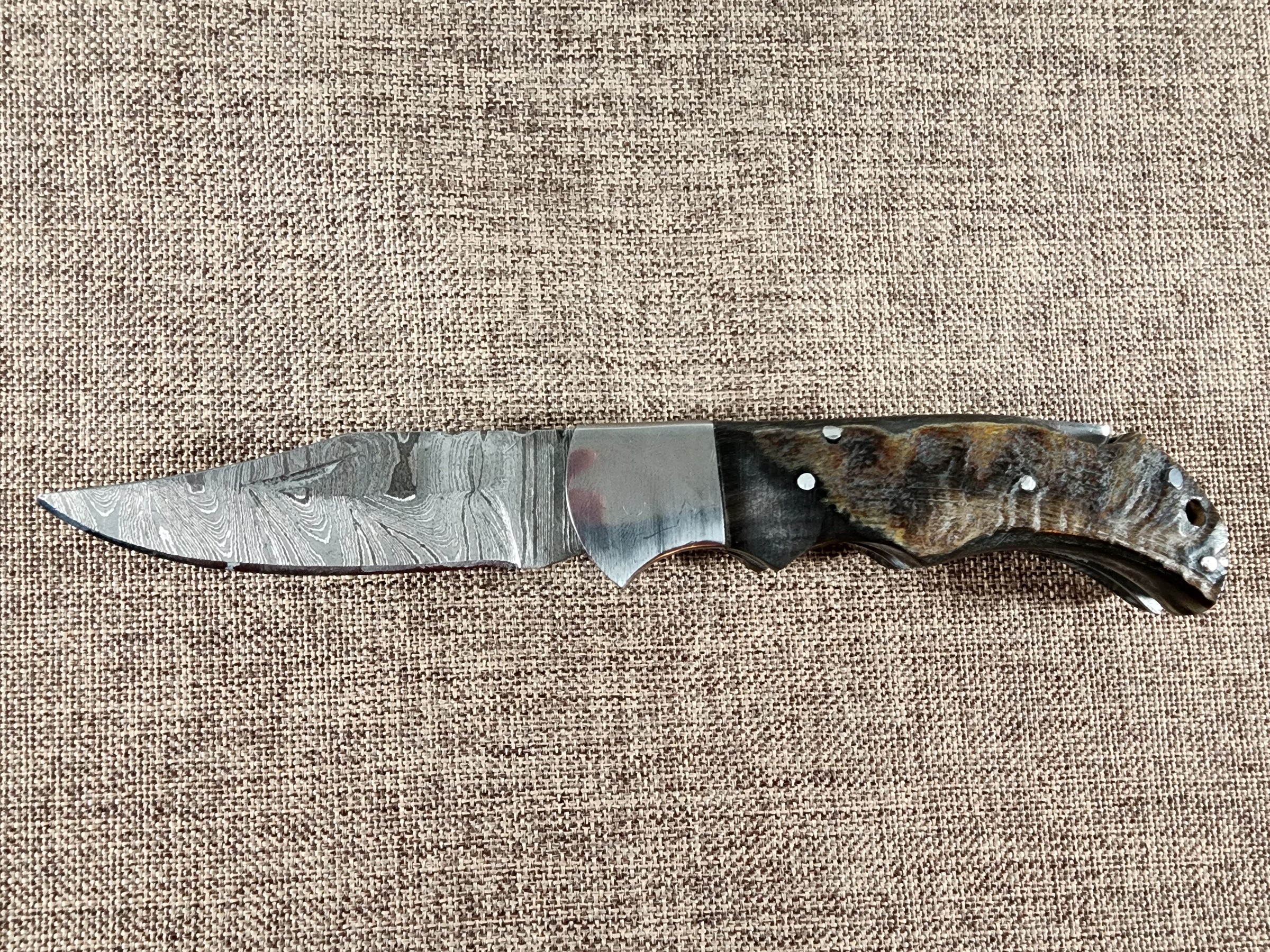 Ram Horn Damascus Folder #142