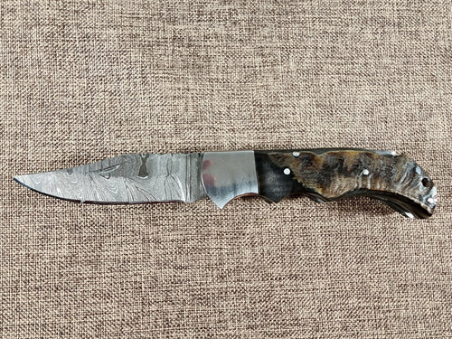 Ram Horn Damascus Folder #142