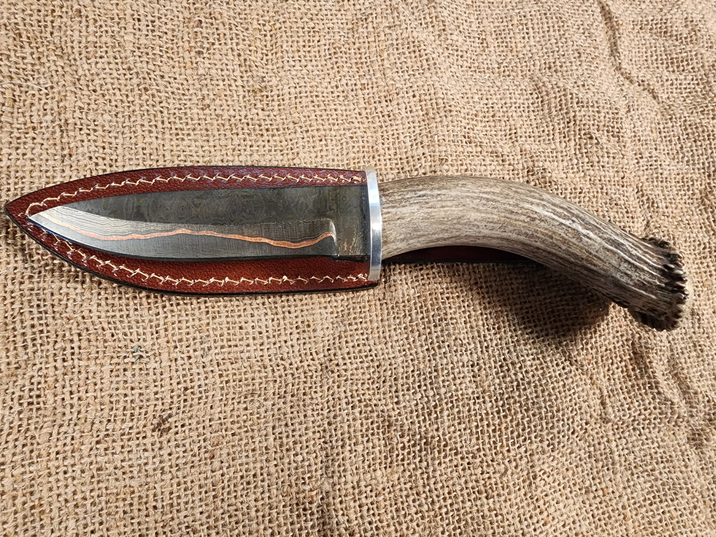 5" COPPER Damascus Gun Blue Drop Point #112