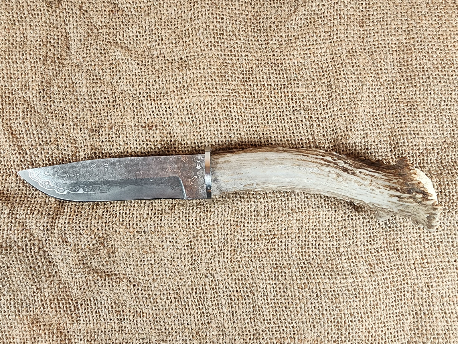 5" Damascus Drop Point #12